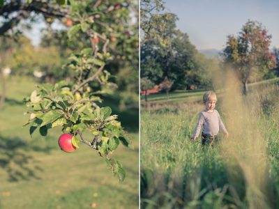 Herbstliches Familienshooting im Apfelgarten